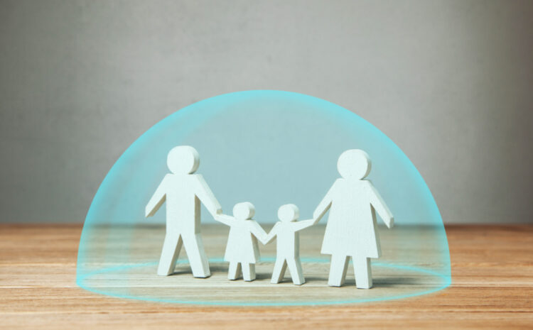  The Crucial Role of Family Governance in the Success and Effectiveness of a Family Trust